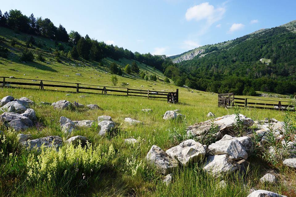 Mountain House Varda Ledenice 외부 사진